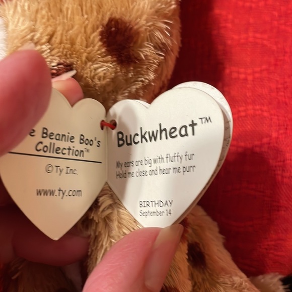 Beanie Boos Bundle:   Patches, Buckwheat and Leona 2 with hang tags (mlb) - Picture 10 of 10